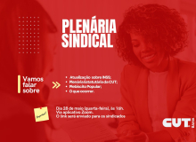 Plenária Sindical