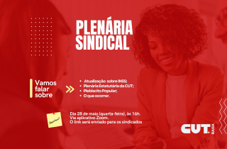 Plenária Sindical