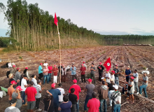 NOTA DE SOLIDARIEDADE À LUTA DO MST NO EXTREMO SUL DA BAHIA