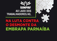 Embrapa: Desmonte em Parnaíba-PI resulta em transferência de empregados